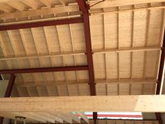IMG_8114-1024